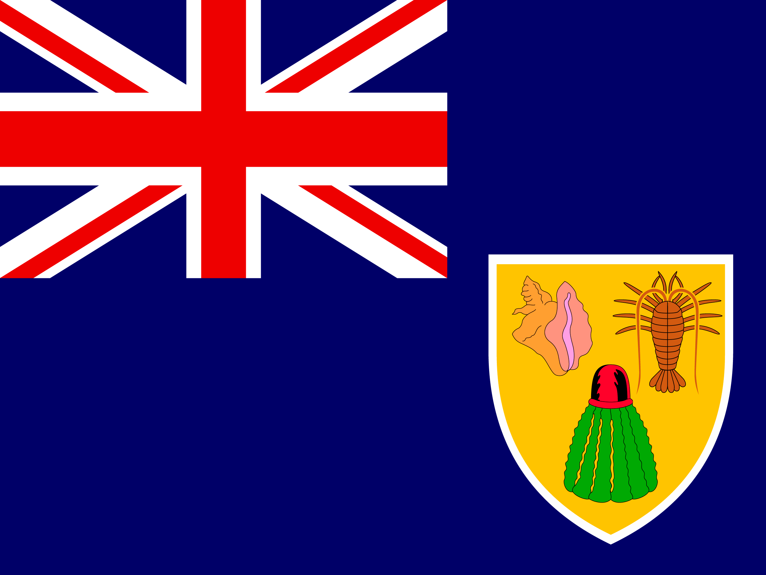 bendera Turks dan Caicos