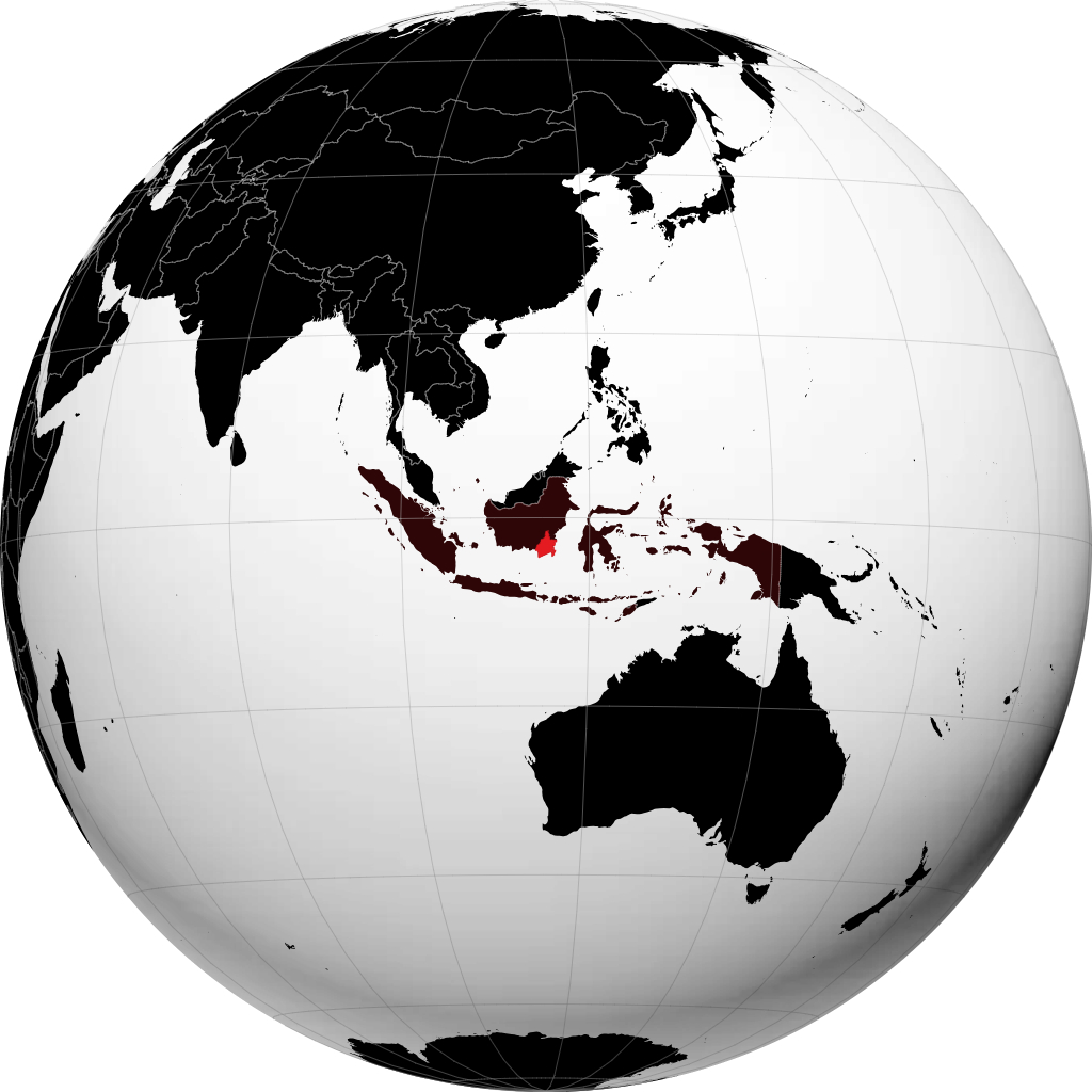 Wilayah Kalimantan Selatan pada glob