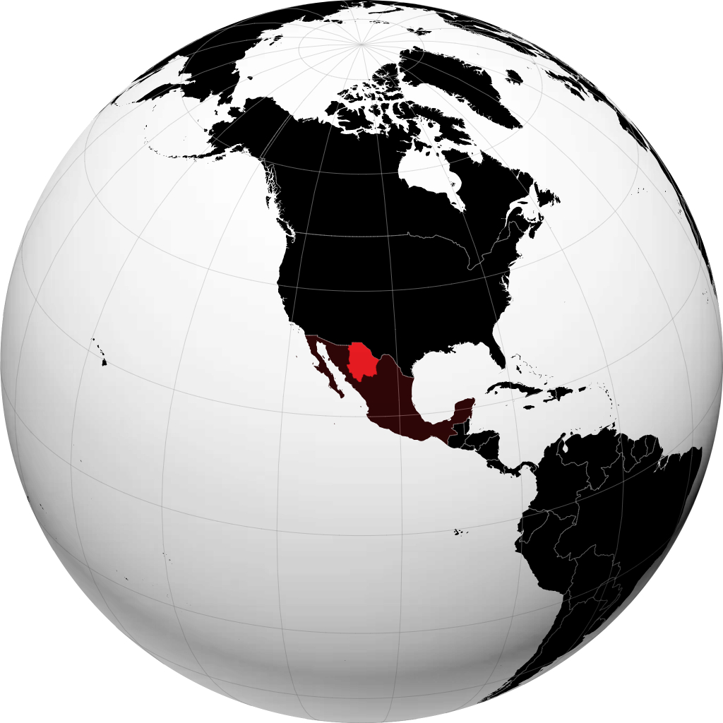 Chihuahua pada glob
